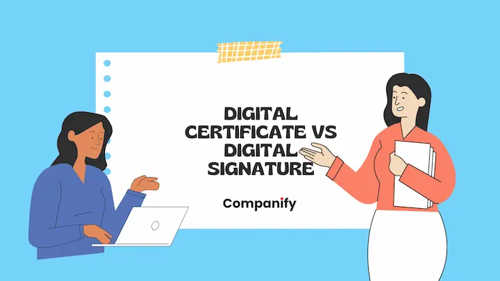 Digital Certificate vs Digital Signature